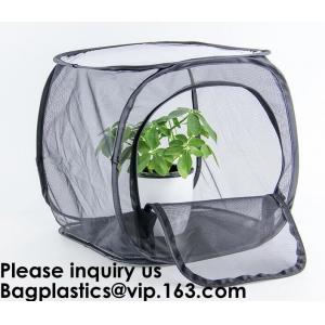 China Agricultural Greenhouses for Tomato Planting,Pop-Up Tomato Plant Protector Serves as a Mini Greenhouse to Accelerate Gro supplier