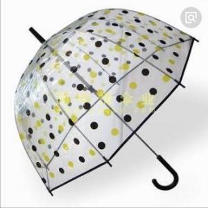 Transparent See Through Umbrella , Windproof Clear Plastic Dome Umbrella Printed