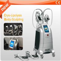 China Safety Coolsculpting Slimming Beauty Machine For Fat Reduction / Body Contouring on sale