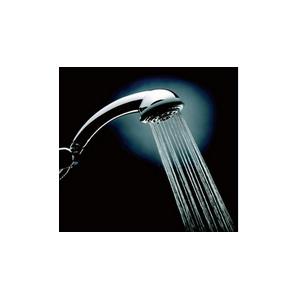 China bathroom water saving rain shower head supplier