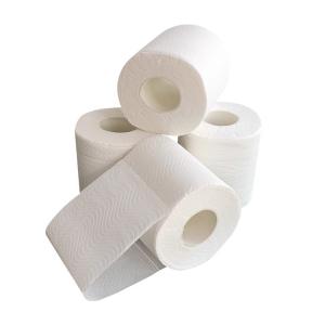 4 Ply Odorless Biodegradable Paper Towel Bath Tissue Eco Friendly