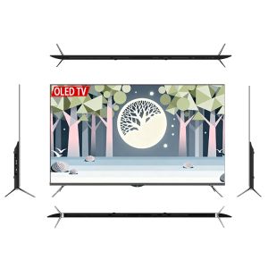 55 Inch 4K Smart Google OLED TV With HDR 60Hz Refresh Rate Google Android TV Platform WIFI Interface Hotel Television
