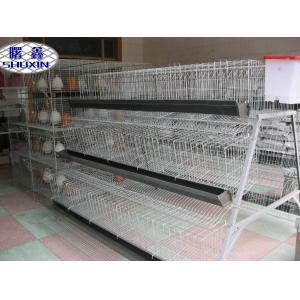 China Professional Automatic Layer Chicken Cage For Commercial Chicken Farm supplier