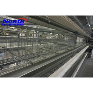 China hot sales poultry cages TUV certicification hot dipped galvanized 20 years lifetime layer supplier
