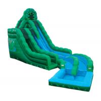China Emerald Green Frog Fun Water Slides , Inflatable Double Rush Slip Wet Slide on sale