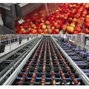 Fruit Juice Concentrate Machine Apple Juice Complete Processing Line