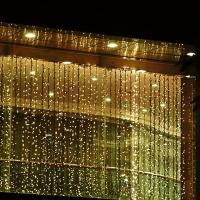 China Flat emitting 220v fairy led outdoor christmas lights curtain CE ROHS approval on sale