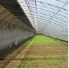 China High Insulation Garden Greenhouse With Customized Temperature Control And Size wholesale