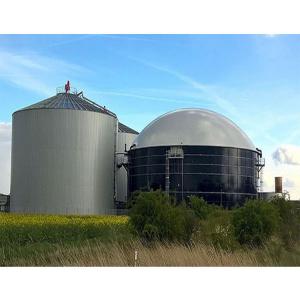 Organic Waste Disposal Tank In Chicken Farm For Anaerobic Reactor
