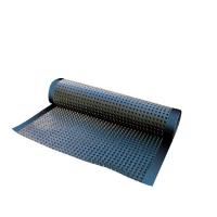 China Modern Cavity Drainage Membrane for Reducing Water Pressure and Improving Drainag on sale