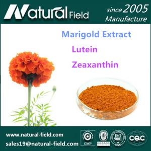 Marigold Extract Lutein 20% 40% 80%