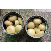 China Whole Canned Button Mushroom , Canned Marinated Mushrooms Light Yellow Color on sale