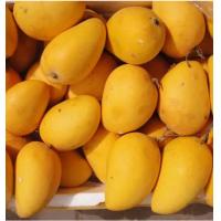 China Fruit And Vegetable Mango Processing Line 50 Tons / Hour on sale