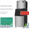 Design 220V Snow Ice Maker Machine with Fast Ice Delivery and Automatic Cleaning