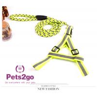 China Pet Training  Dog Shock Collar Puppies Tools Basic Concepts Learning Curve on sale
