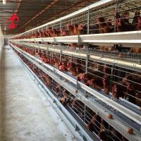 China China Nigeria Factory Layer Broiler Poultry Chicken Rearing Cage For Sale Ada on sale
