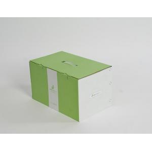 China Recyclable Carton Storage Boxes For Industrial Mailing Packaging Shipping supplier