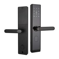 China Electronic Smart Biometric Fingerprint Door Lock Aluminum Alloy Security With BLE Wifi on sale