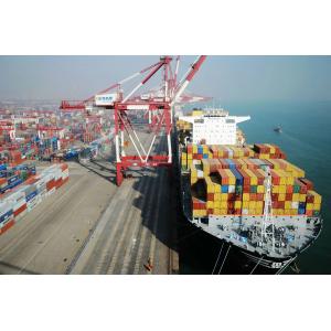 Port To Port Ocean Freight FCL Container Shipping From China To Canada