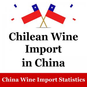 China Tiktok Chinese Market Chilean Wine Export Marketing Wine In China supplier