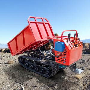 Mining Site Mini Crawler Dumper