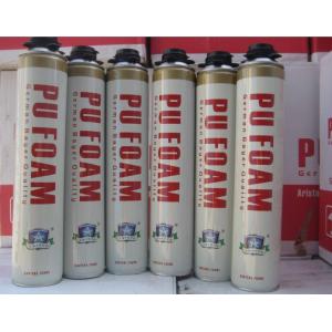 China Fire Proof PU Foam Spray Can / Aerosol Polyurethane Foam Insulation B2 Grade supplier