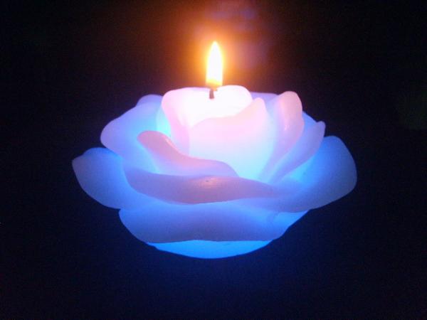 LED Rose candle with 7 colors changed during the burning,100% paraffin wax
