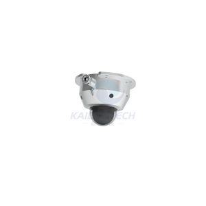 China 4X Optical Marine CCTV Auto 2MP PTZ Dome Camera wholesale
