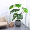 China 人工的な緑のmonsteraの家のdecoのホテルのオフィスの鉢植えな木 wholesale