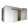 Modular Modular Cold Rooms Compressor Refrigeratied Big Capacity Cold Storage