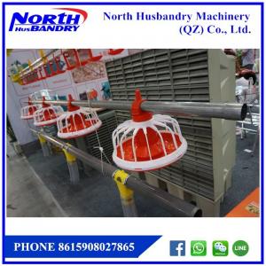 Poultry Equipment, Poultry Farming, Cages, Poultry Environmental
