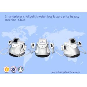 China 3 Handpieces Cryolipolysis Slimming Machine Weight Loss Beauty Equipment CR02 supplier