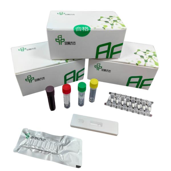 0157:H7 Kit de detección de E. coli hemorrágica EXO con detector de fluorescencia isotérmica