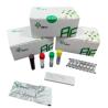 China 0157:H7 Kit de detección de E. coli hemorrágica EXO con detector de fluorescencia isotérmica wholesale