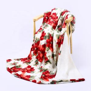 China 220gsm Queen Size Flannel Blanket supplier