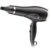 China 220V Plastic Professional Salon Hair Dryer With Ionic Function on sale