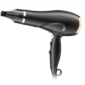 220V Plastic Professional Salon Hair Dryer With Ionic Function