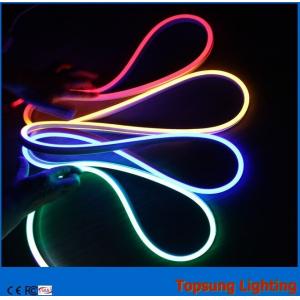 China top view 24v blue bi-sided neon flex led lights for decoration supplier