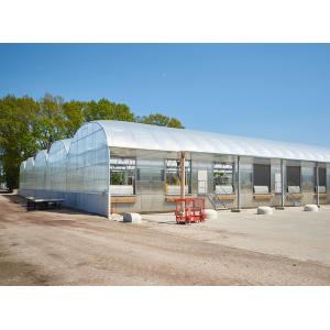 Agricultural Plastic Film Greenhouse Length 32m-80m With Hot Dipped Galvanized Steel Frame