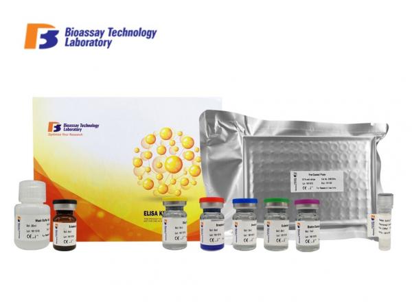 Oem Cathepsin B Sandwich Porcine ELISA Kit With Strong Sensitivity And