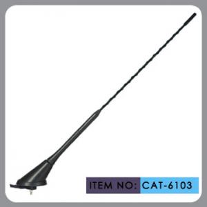 China top mounted am/fm car antenna , glass fiber mast black plastic for all car supplier