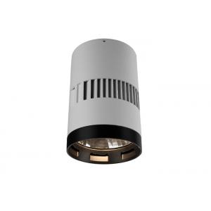 40Watt Surface Mount LED Lights , Ceiling Mounted Led Lights With Driver Interior CE RoHS