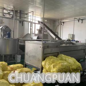 Speed 2-9T/H Filling Speed Coconut Milk Processing Machine with Customization