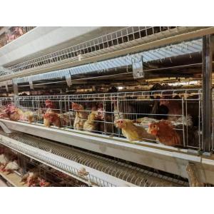 Galvanized Steel Poultry Environmental Control System 5 Layers Battery H Type Hens Cage For Egg Chicken