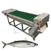 China Fully automatic fish cutting machine electric slicer equipment fresh and dried fish slicer fish slicer on sale