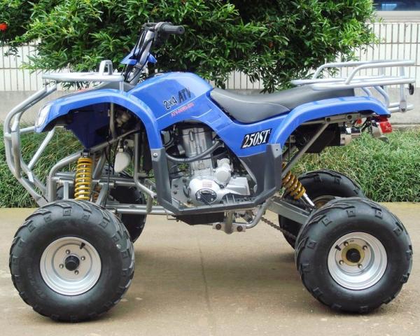 Electric 8" Rim 250cc ATV Quad Bike 4 Wheel Motorbike With Manual Clutch