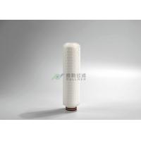 China 0.7m2 Area Hydrophilic PFA Fluorine PTFE Membrane Filter Cartridge on sale
