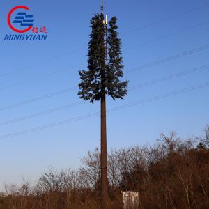 Galvanized FRP Camouflage Cell Towers 2 Floors Palm Tree 5g