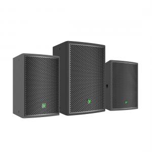 China Portable PA Speaker System 300W 10 Inch Two-Way Passive Speaker supplier