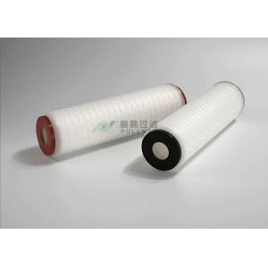 Nylon Micro Pleated Membrane Filter Cartridge Pharmaceuticals 0.22um 10"